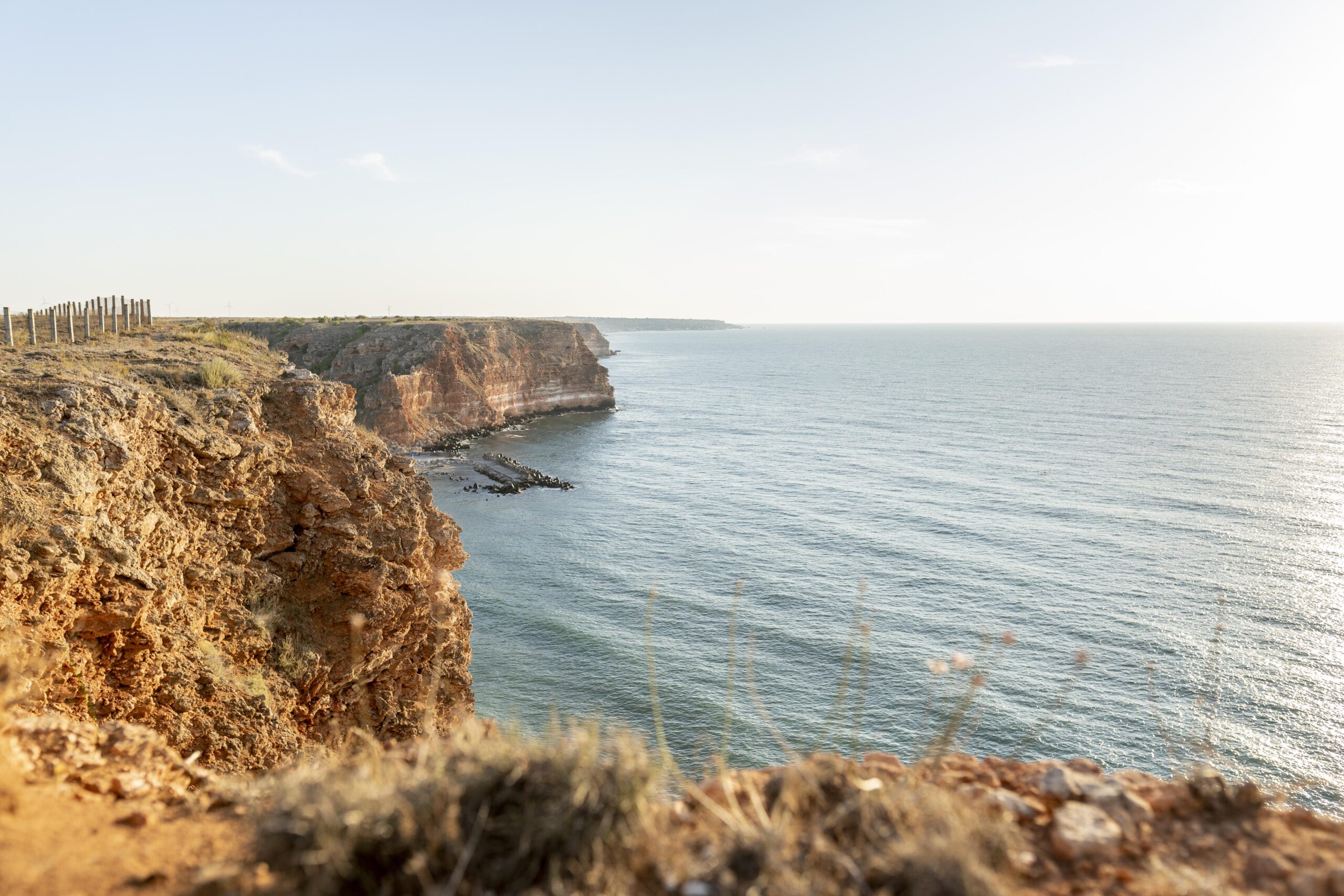 Controlo de Pragas no Algarve: Prepare a Sua Propriedade para o Inverno