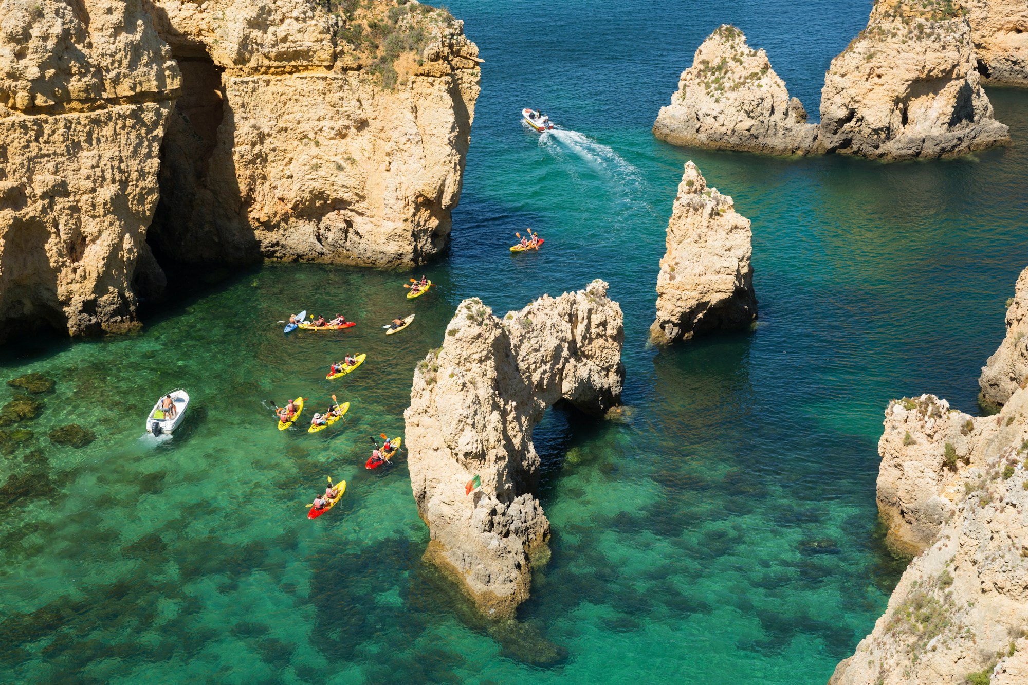 As Pragas Mais Comuns no Verão no Algarve