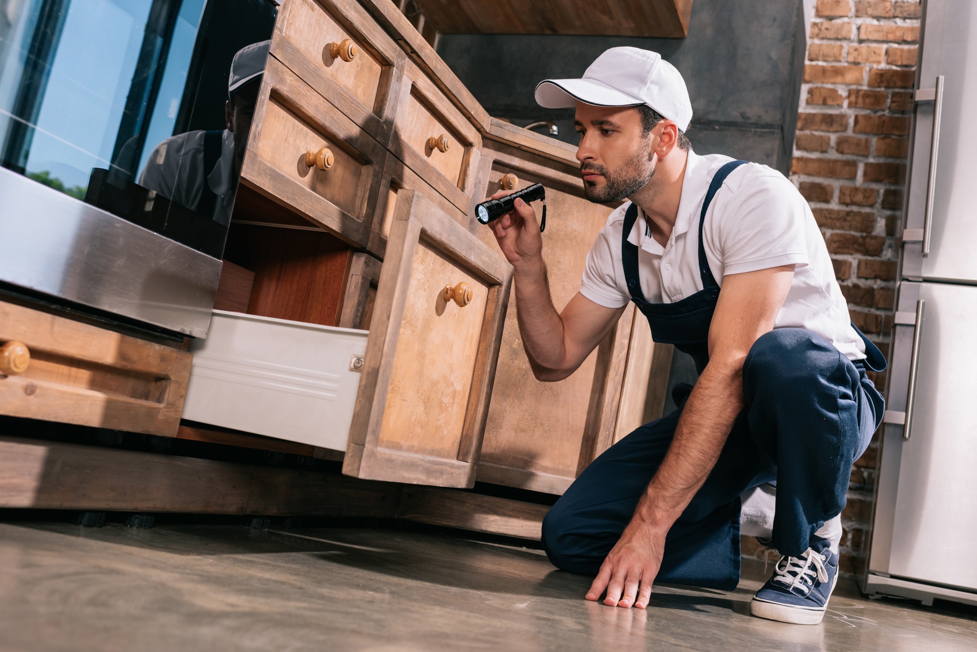 5 Dicas para Prevenir Infestações de Pragas em Casa