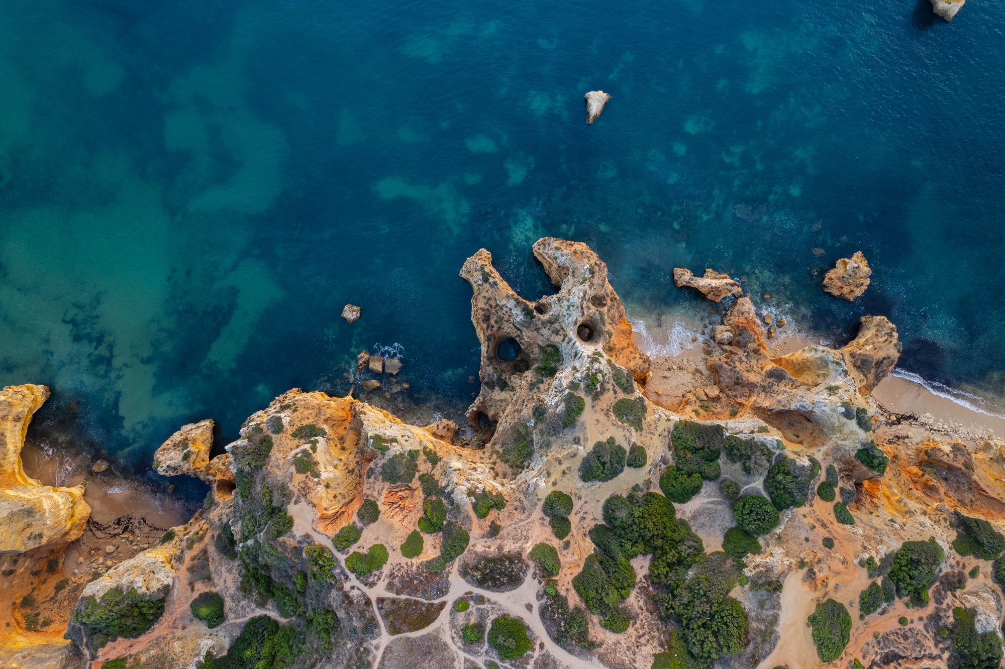 Março no Algarve: Os Primeiros Sinais de Infestação a Não Ignorar no Seu Negócio
