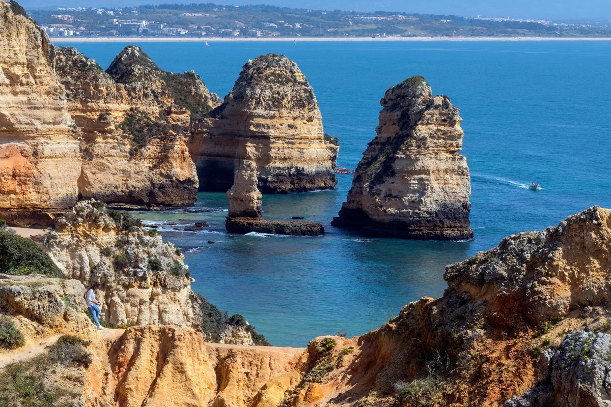 Primavera no Algarve: Como a Sobcontrolo Pode Manter o Seu Espaço Livre de Pragas